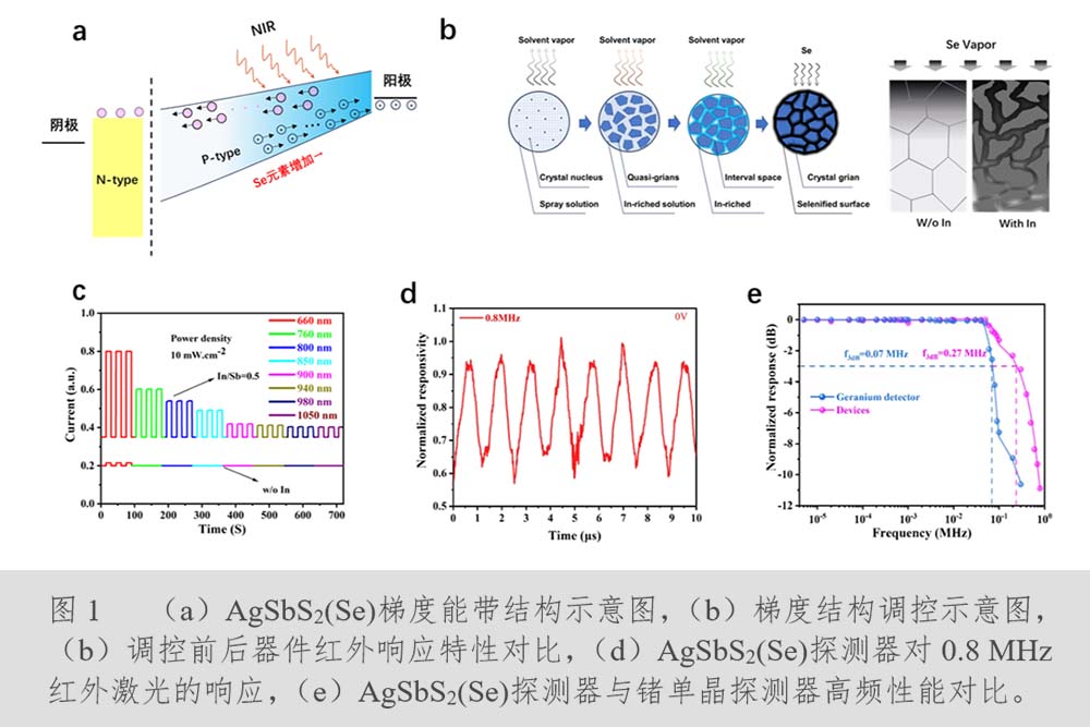 PAew_1710308410639052415.jpg 20240313llcg1.jpg