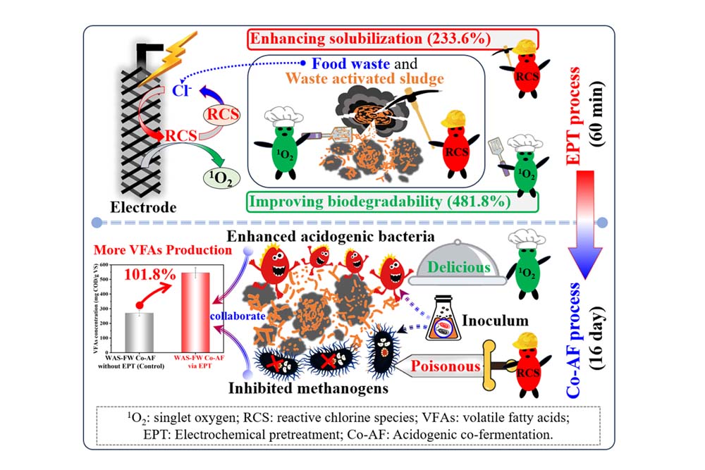 MhNT_1720084999702005502.jpg 20240704gjkwlw2.jpg