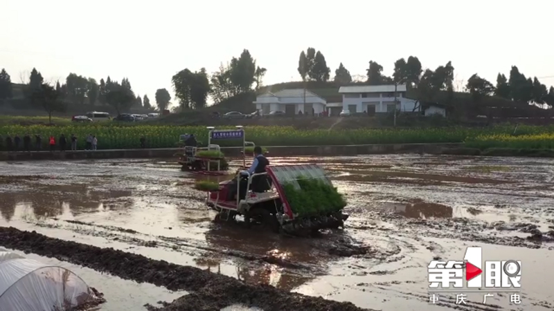 PNGE_1646404829659068610.jpg 20220304cyj3.jpg