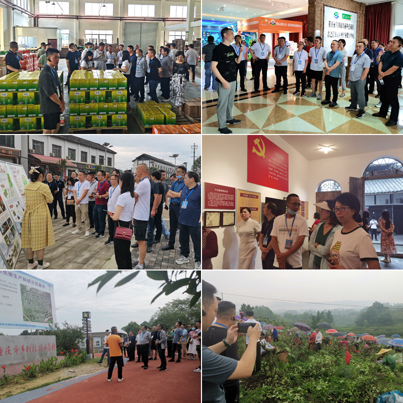 sQih_1655713253970037341.jpg 20220617sjpx4.jpg