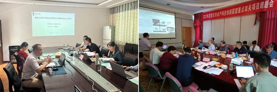 KxCj_1687744349992027637.jpg 20230626styyxm1.jpg