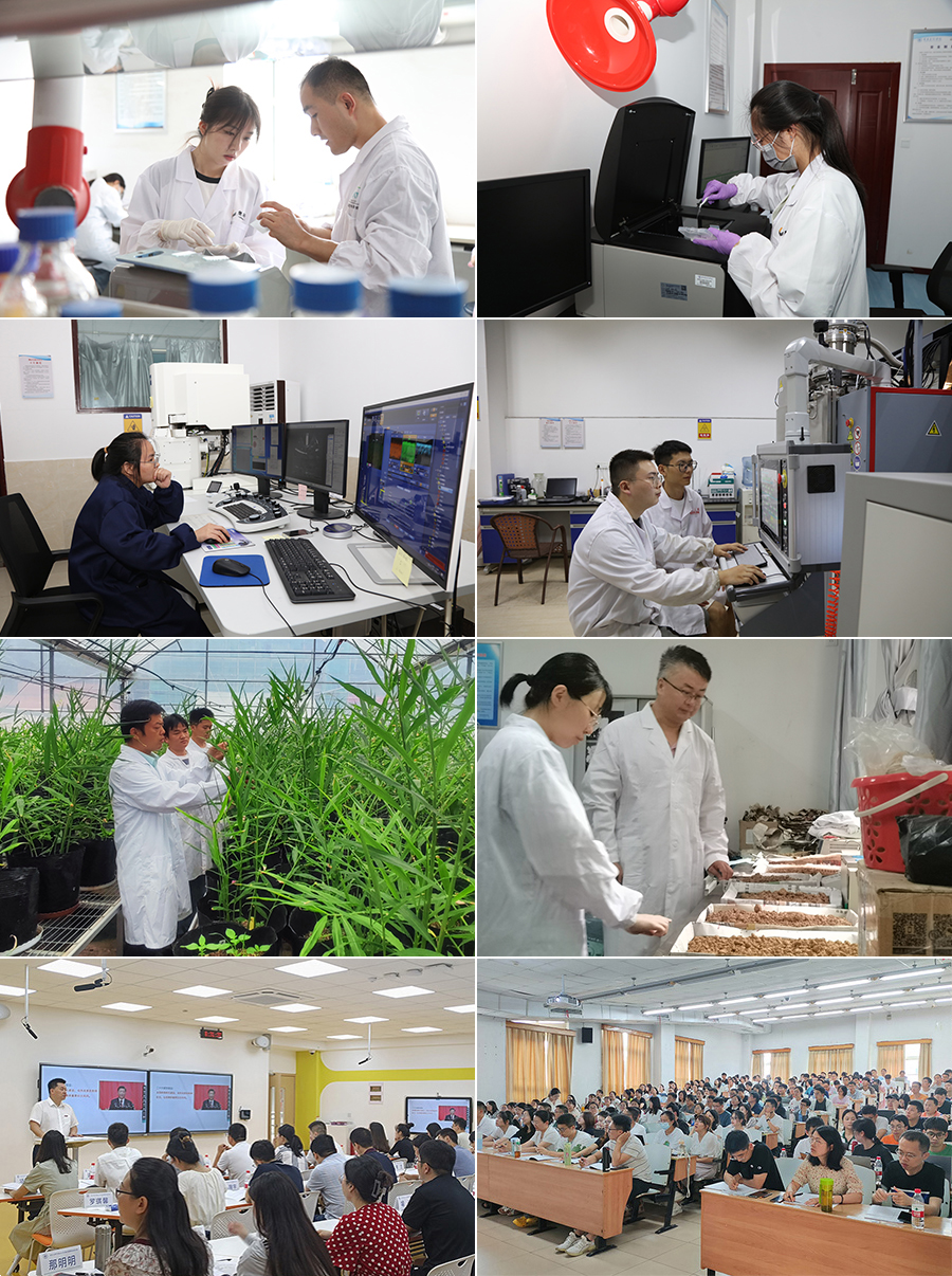 yDwA_1691487207251006915.jpg 20230807sqgz4-1.jpg