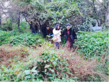 1616729231848023822.png 1616729231848023822.png