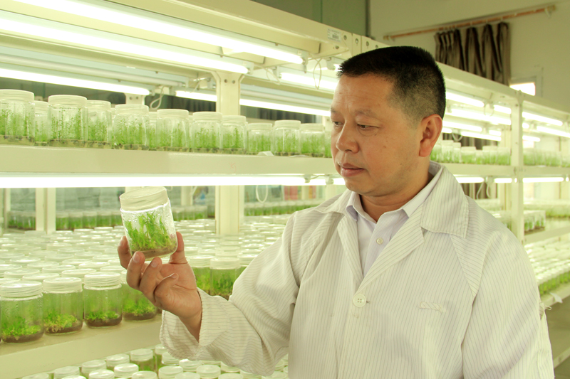 1521104359083001585.jpg 20180315lyqwrjh.jpg