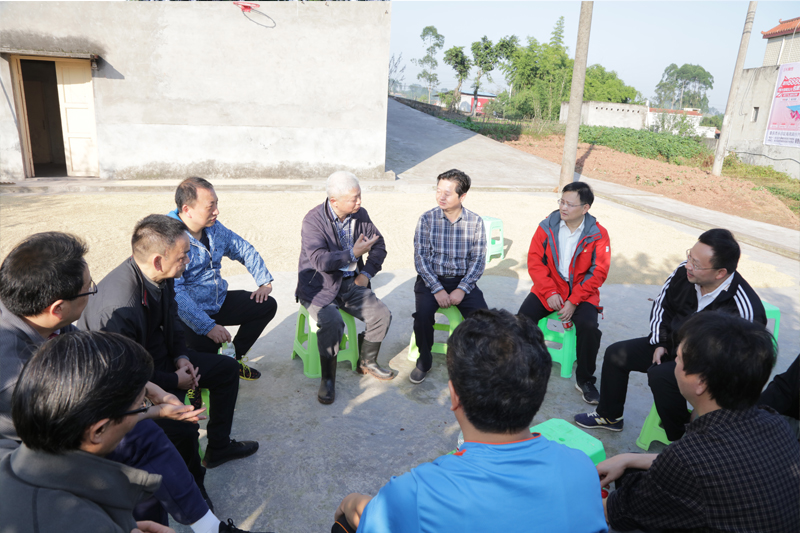 1572504475567003998.jpg 12121212.jpg