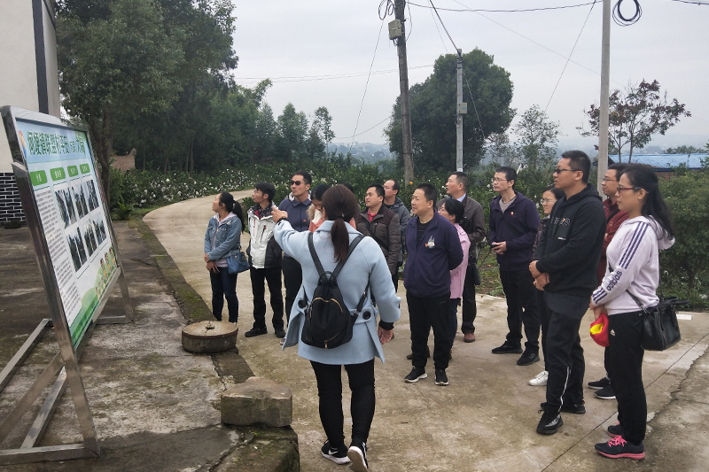 1574166417462006767.jpg 20191114jgxyzbhd1.jpg